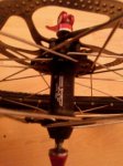 IMG-20141130-WA0002.jpg