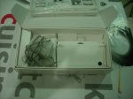 dsi 002.JPG