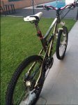 image13.jpeg