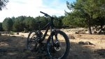 20140809_095303.jpg