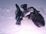 DSC_5031.jpg
