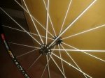 IMG-20141202-WA0015.jpg