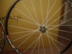 IMG-20141202-WA0020.jpg