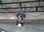 20141204_104530.jpg