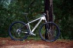 DSC_1178.JPG