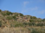 RUTA SERRALADA 6-12-14 (35).JPG