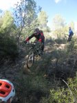 IMG_7765.JPG