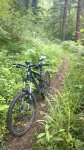 WP_20140625_007.jpg