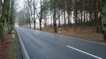 DSC_0022.JPG