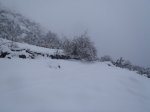 P1010040.JPG