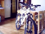 btt HU 043.jpg