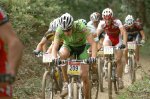 Ramales 2007 161.jpg