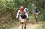 Ramales 2007 163.jpg
