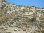 DSCN0744.JPG