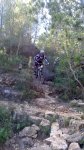DSC_1462.jpg
