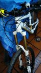 IMG-20141210-WA0014.jpg