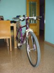 DSC05430.jpg