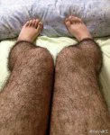 pelos.jpg