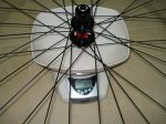 DSC01712.JPG