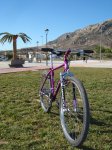 DSC05432.jpg
