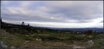 DSC00113.JPG