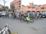 downloadfile-5.jpeg