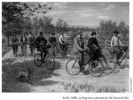 group-620.jpg