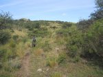 DSCN5117.JPG