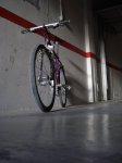 DSC05448.jpg