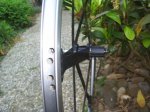 spinergy 5 palos 2.jpg