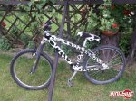 bike_de_vaca.jpg