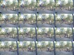 dsc00410_r_faga.jpg