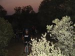 dsc04079__medium_.jpg