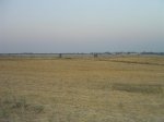 dsc04078__medium_.jpg
