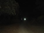 dsc04093__medium_.jpg