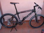storck_116.jpg