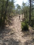 dscn1775.jpg