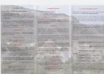 folleto_puntedey1.jpg