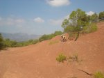 DSC04290.JPG
