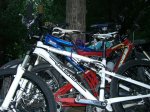 CIMG0598.jpg