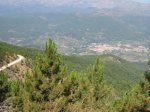 IMG_1349.jpg