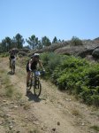 IMG_1355.jpg