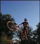 whip2.jpg