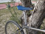 DSC04606.jpg