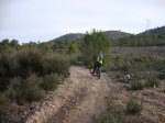DSC02991.JPG