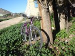 DSC05459.jpg