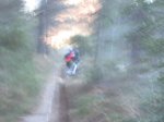 IMG_7885.JPG