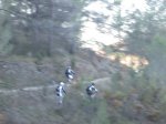 IMG_7891.JPG
