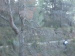IMG_7892.JPG