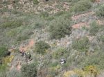 IMG_7933.JPG